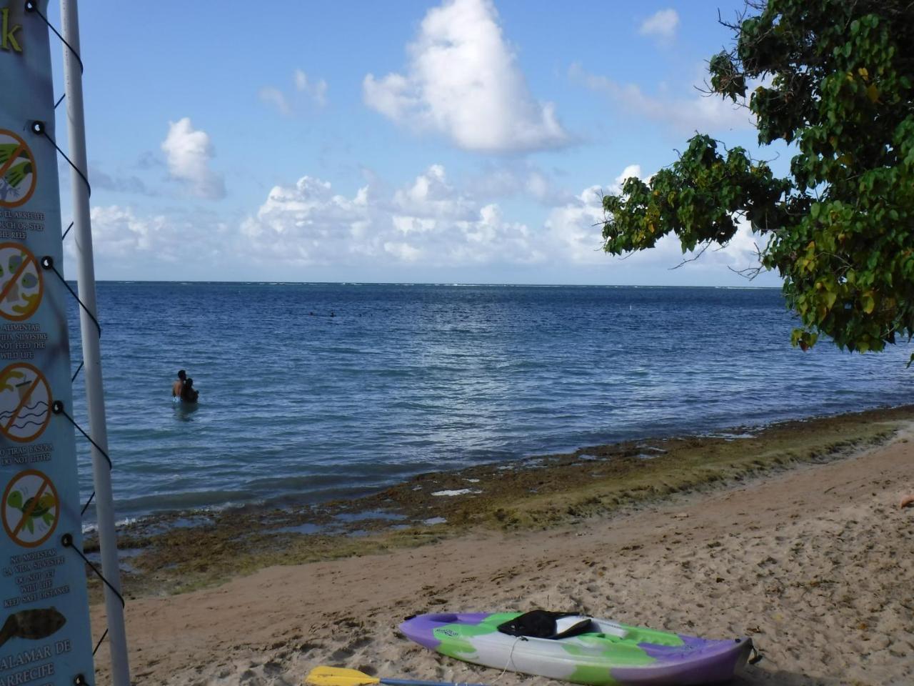 La Casona Beach House Fajardo Buitenkant foto